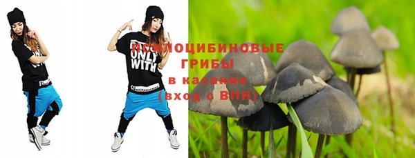 apvp Лабытнанги