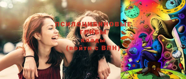 apvp Лабытнанги