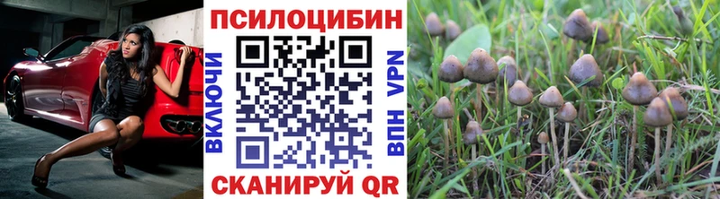 Купить  Макаров  Галлюциногенные грибы MAGIC MUSHROOMS 